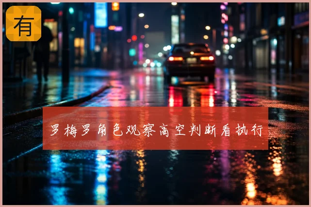 罗梅罗角色观察高空判断看执行
